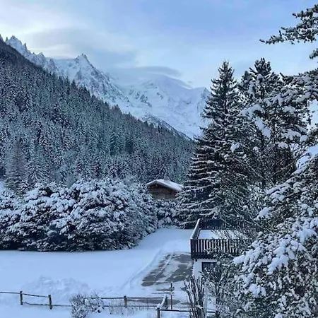 Magnifique 3 Chambres Vue Mont Blanc דירה שאמוני
